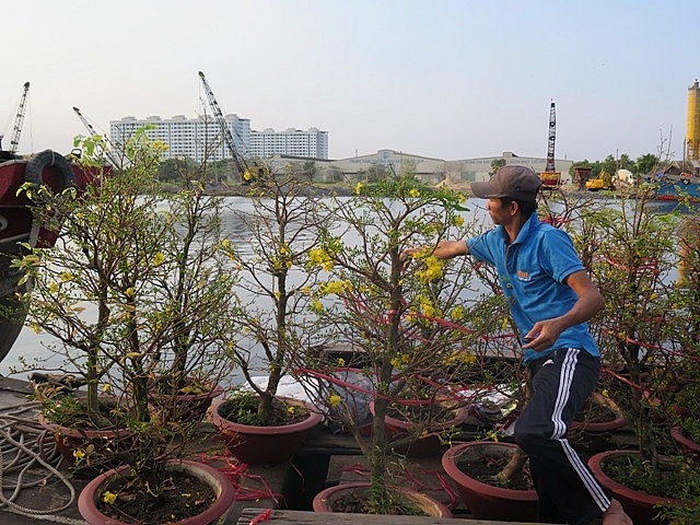 muon sac hoa hoi tu cho hoa xuan binh dien 2019