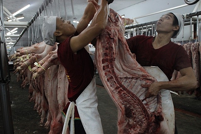 Vương Quốc Anh hỗ trợ Việt Nam xây dựng Sàn giao dịch heo vuong quo c anh ho tro vie t nam xay du ng san giao dich heo