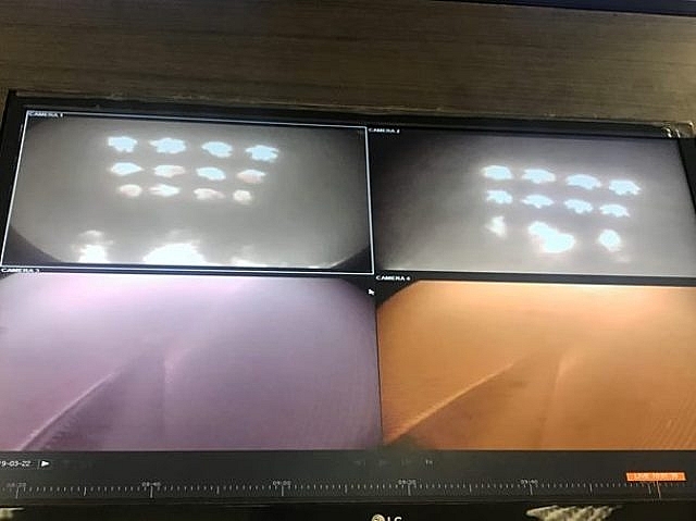 Nhiệt điện Vĩnh Tân 4 thử nghiệm đốt than lần đầu thành công nha may nhiet dien vinh tan 4 thu nghiem dot than lan dau thanh cong