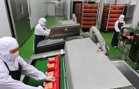 Nga đồng ý nhập khẩu thịt gà chế biến của C.P. Việt Nam