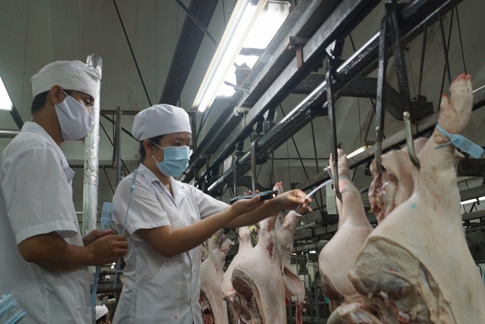 Đi tìm giải pháp đồng bộ giảm giá thịt heo di tim giai phap dong bo giam gia thit heo