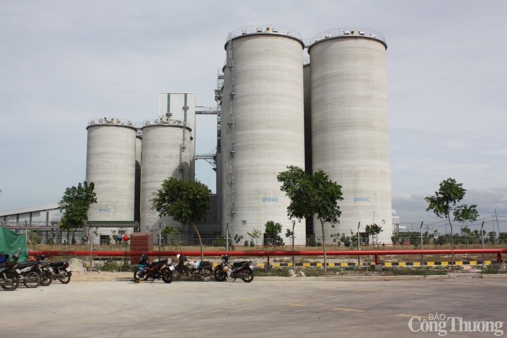 Người chăn nuôi lao đao khi giá thức ăn chăn nuôi tăng chóng mặt Người chăn nuôi lao đao khi giá thức ăn chăn nuôi tăng chóng mặt