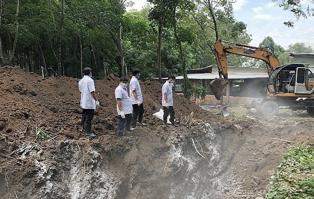 Phòng chống đúng cách sẽ loại được dịch tả lợn châu Phi phong chong dung cach se loai duoc dich ta lon chau phi