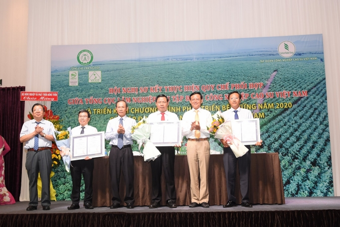 Ngành công nghiệp cao su đẩy nhanh việc cấp chứng chỉ về phát triển rừng bền vững nganh cong nghiep cao su day nhanh viec cap chung chi ve phat trien rung ben vung