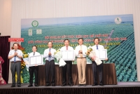Ngành công nghiệp cao su đẩy nhanh việc cấp chứng chỉ về phát triển rừng bền vững