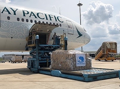 hon 5 trieu san pham thiet bi y te cua viet nam da den my