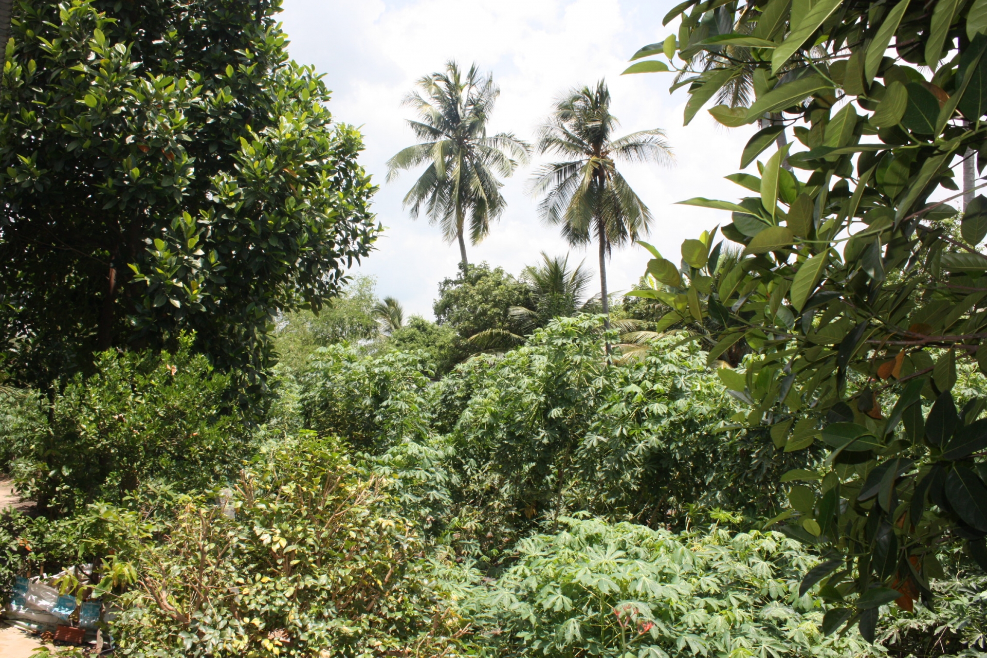 Cần đẩy nhanh tiến độ Dự án “Đường dây 500kV Krông Buk - Tây Ninh 1” can day nhanh tien do du an duong day 500kv krong buk tay ninh 1