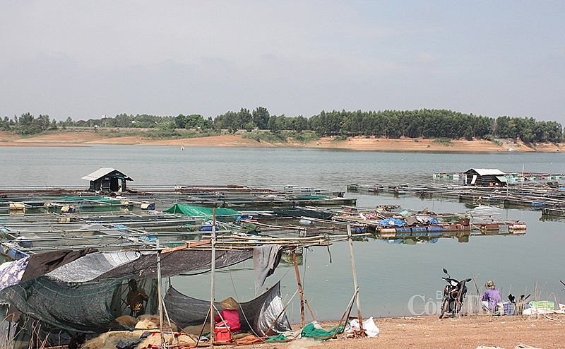 Đồng Nai: Tăng cường diễn tập để ứng phó hiệu quả với thiên tai dong nai tang cuong dien tap de ung pho hieu qua voi thien tai