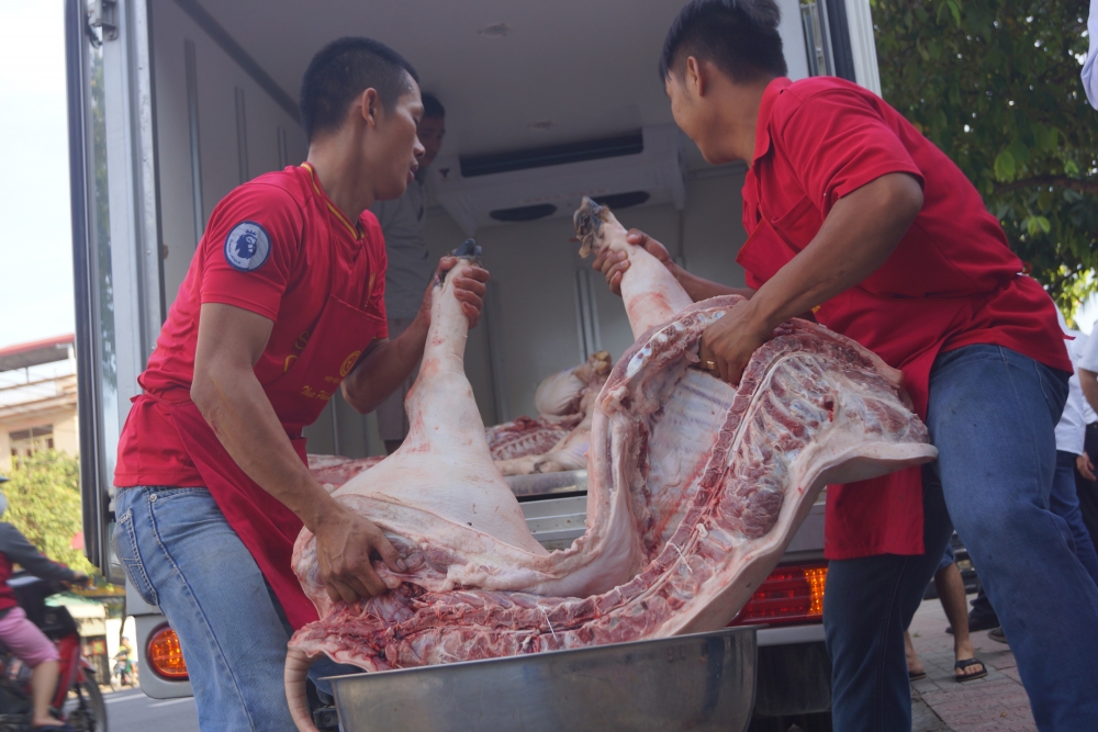 Heo hơi nhập khẩu Có giúp bình ổn hay gây thêm bất ổn cho thị trường heo hoi nhap khau co giup binh on hay gay them bat on cho thi truong