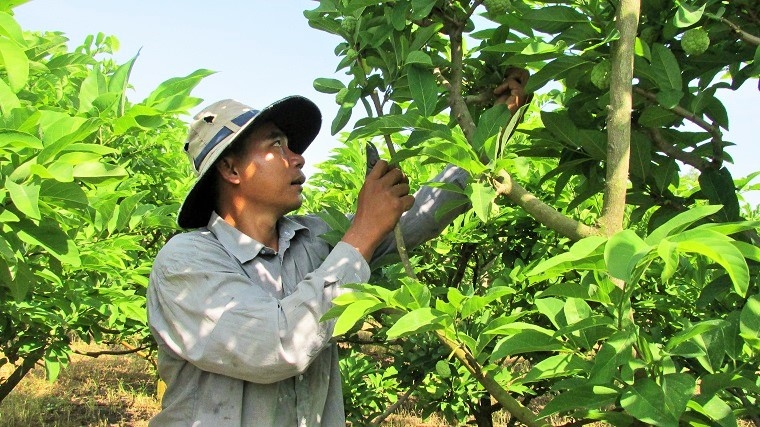 nhieu san pham ocop cua dia phuong chua tim duoc cho dung tren thi truong