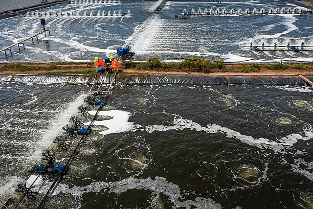 Nét đẹp đời thường của công nhân ngành điện qua những tấm ảnh đoạt giải net dep doi thuong cua cong nhan nganh dien qua nhung tam anh doat giai