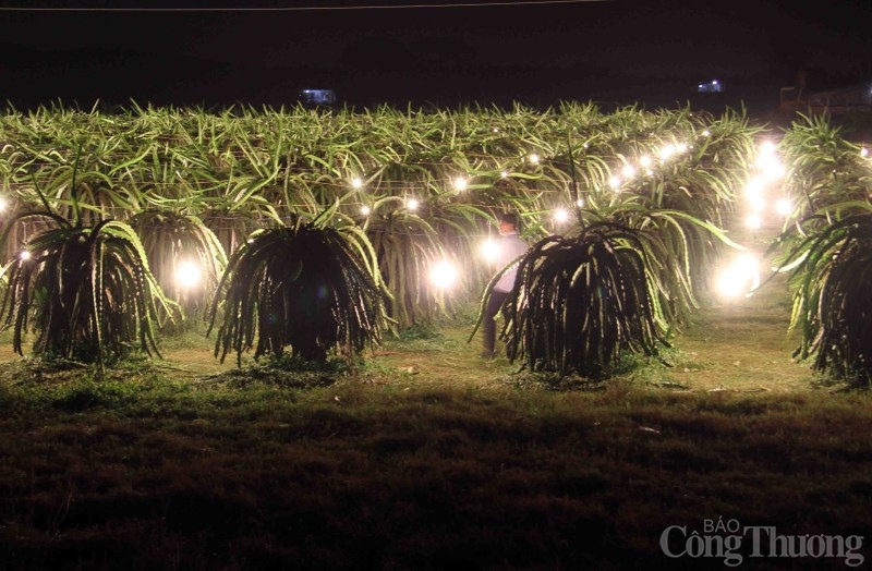Tiết kiệm điện đã trở thành phong trào lan rộng trong cộng đồng ở miền Nam Tiết kiệm điện đã trở thành phong trào lan rộng trong cộng đồng ở miền Nam