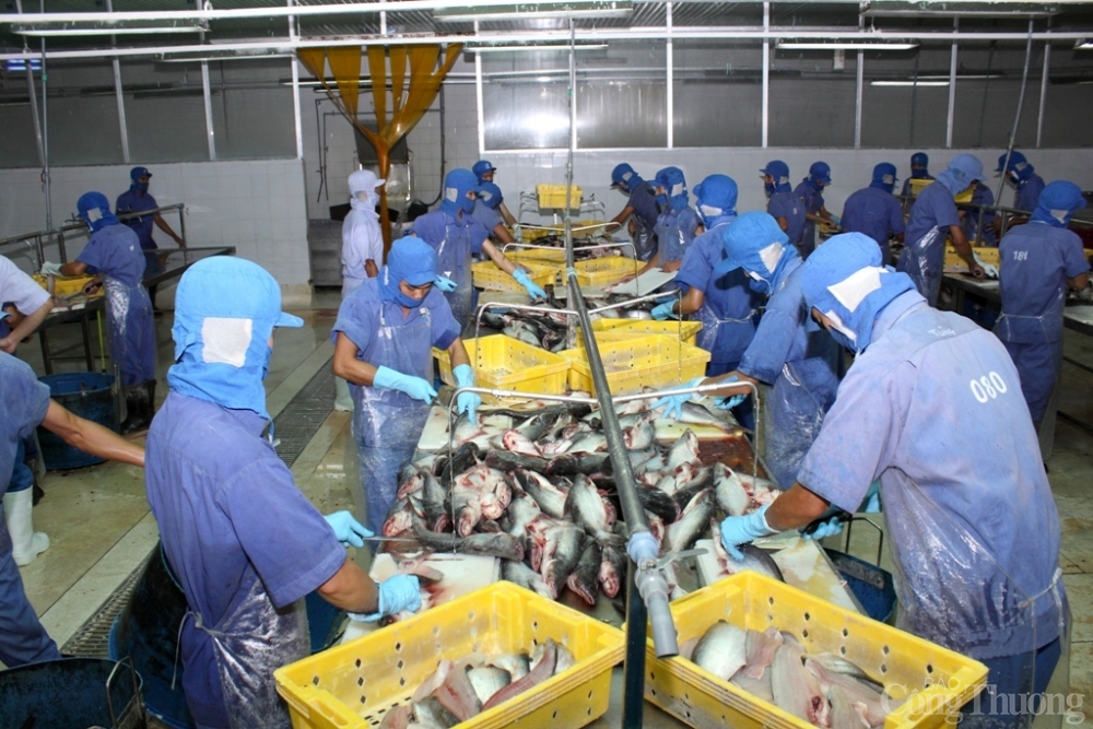 Xuất khẩu hàng hoá ở phía Nam đang phục hồi nhanh trước đại dịch Covid- 19 Xuất khẩu hàng hoá ở phía Nam đang phục hồi nhanh trước đại dịch Covid 19