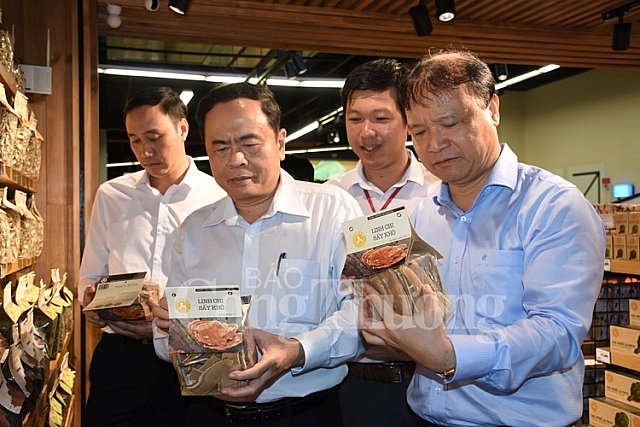 Bà Rịa – Vũng Tàu: Hàng Việt ngày càng lan tỏa mạnh mẽ ba ri a vu ng ta u ha ng vie t nga y ca ng lan to a ma nh me