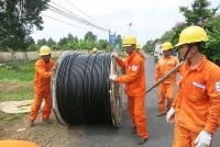 Ngành điện lực miền Nam khẩn trương phòng chống mưa bão