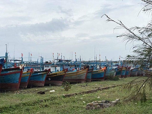 Nhiều tỉnh thành đang gồng mình chống bão số 9 nhieu tinh thanh dang gong minh chong bao so 9