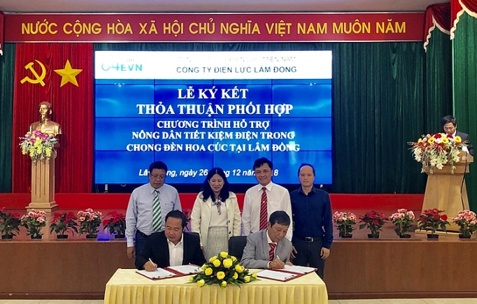 Chong đèn LED cho hoa cúc là giải pháp tối ưu tiết kiệm điện chong den led cho hoa cuc la giai phap toi uu tiet kiem dien