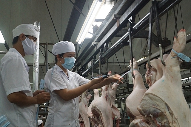 giai phap nao binh on thi truong thit heo