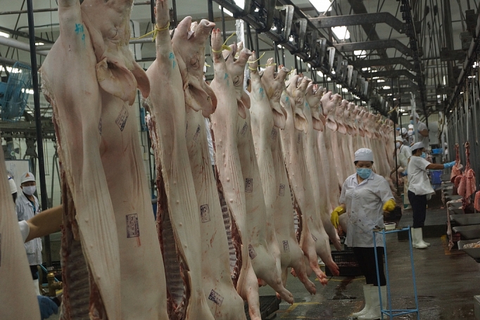 mat hang thit heo se binh on gia trong dip tet canh ty