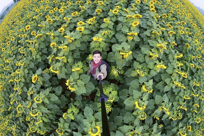 nghe an nhung mua hoa khoe sac