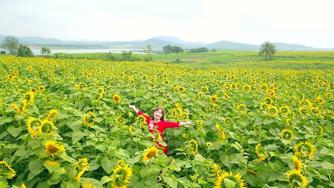 nghe an nhung mua hoa khoe sac