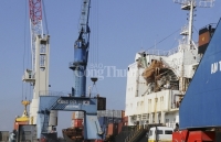 Nghệ An: Xuất khẩu chiếm ưu thế kinh tế địa phương 