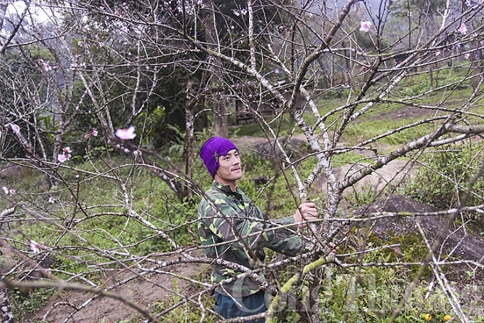 Pù Xai Lai Leng - Nơi mùa xuân đến sớm pu xai lai leng noi mua xuan den som