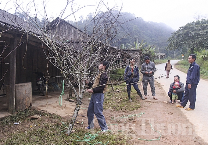 Pù Xai Lai Leng - Nơi mùa xuân đến sớm pu xai lai leng noi mua xuan den som