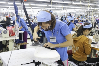 Nghệ An: Tiếp đà thành công của xuất khẩu