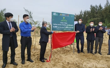 BIDV trồng 6.500 cây phòng hộ ven biển tại Nghệ An