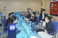 Nghệ An: Mở rộng tín dụng để hạn chế tín dụng đen 