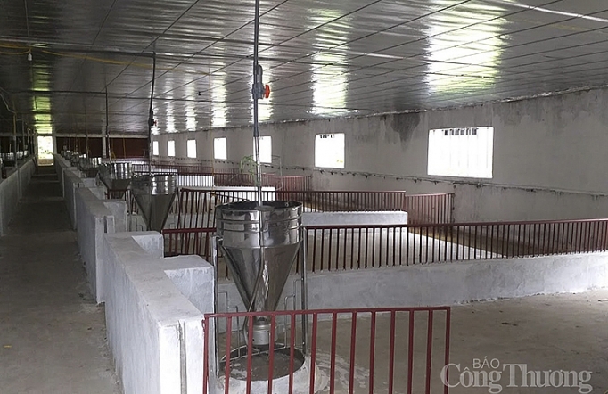 nghe an thieu hut nguon cung lon thit dan de dat tai dan