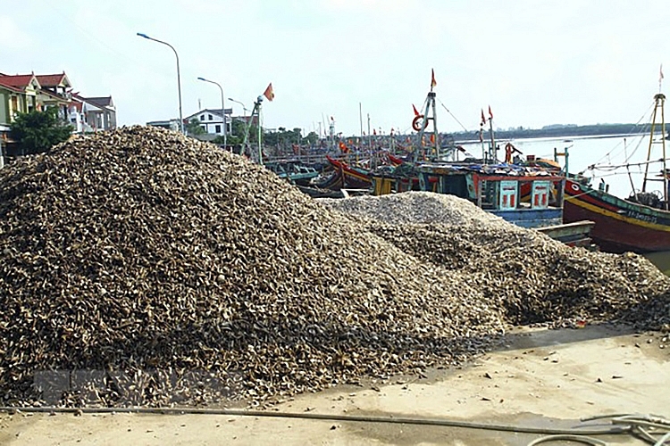 Ô nhiễm tại cảng cá Lạch Vạn Nghệ An - S.O.S Ô nhiễm tại cảng cá Lạch Vạn Nghệ An - S.O.S