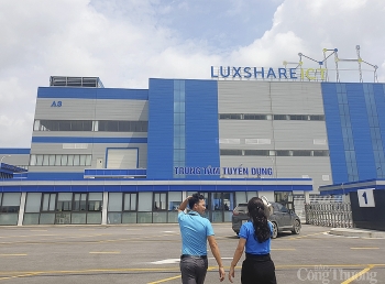 Lao động “chảy ngược” từ phố về quê