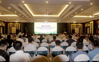 Nghệ An: Nâng cao nhận thức trong khai thác và chế biến khoáng sản