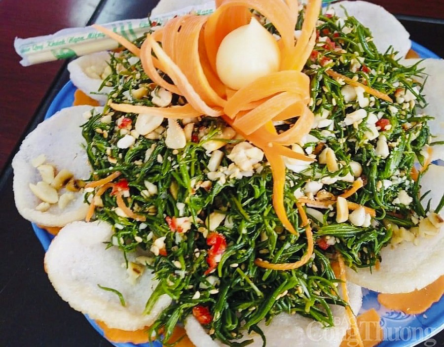 Nghệ An: Người 'thuần hóa' rau dại trên đất nhiễm mặn Nghệ An: Người 'thuần hóa' rau dại trên đất nhiễm mặn