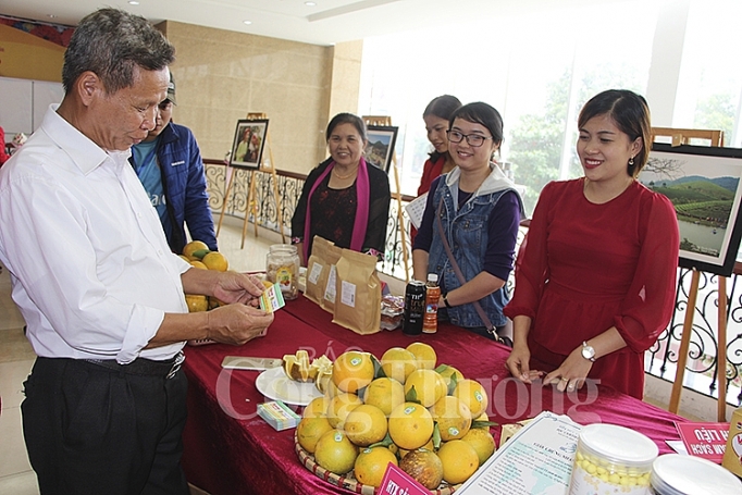 Nghệ An: Hàng Việt chiếm tỷ lệ cao tại các kênh phân phối hiện đại nghe an hang viet chiem ty le cao tai cac kenh phan phoi hien dai