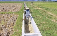 Nghệ An: Nhiều hồ chứa cạn trơ đáy, nguy cơ thiếu nước trầm trọng