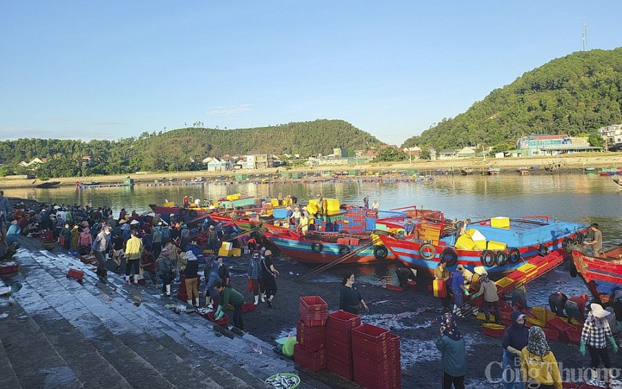 Chợ bến cá nhộn nhịp ở Cửa Lò Chợ bến cá nhộn nhịp ở Cửa Lò