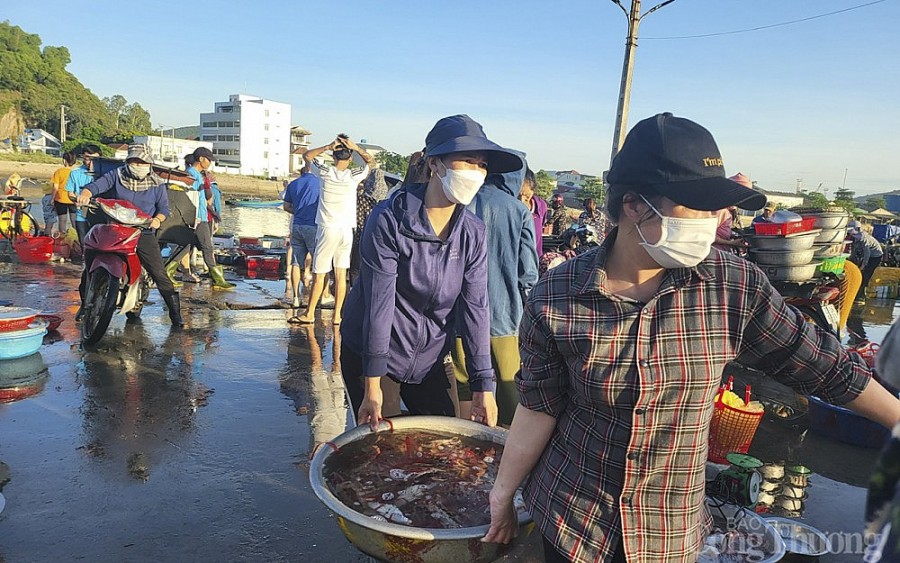 Chợ bến cá nhộn nhịp ở Cửa Lò Chợ bến cá nhộn nhịp ở Cửa Lò