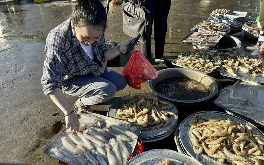 Chợ bến cá nhộn nhịp ở Cửa Lò Chợ bến cá nhộn nhịp ở Cửa Lò