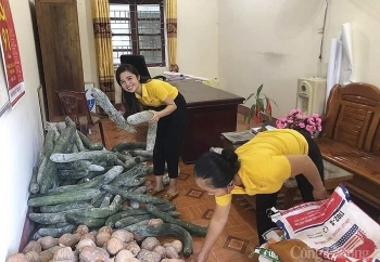 Nghĩa tình người dân xứ Nghệ hướng về TP. Hồ Chí Minh