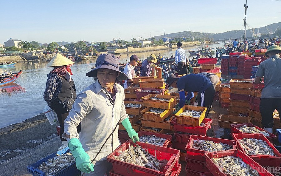 Tỉnh Nghệ An gỡ khó: Để ngư dân tiếp tục ra khơi Tỉnh Nghệ An gỡ khó: Để ngư dân tiếp tục ra khơi