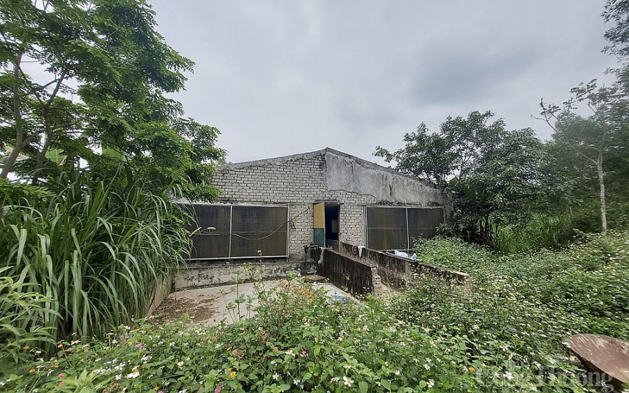 Bất cập trong quản lý rừng phòng hộ ở Nghệ An: “Bài toán” chưa được giải xong Bất cập trong quản lý rừng phòng hộ ở Nghệ An: “Bài toán” chưa được giải xong