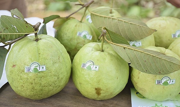 nghe an 29 san pham nong nghiep tieu thu cong nghiep duoc dan tem truy xuat nguon goc