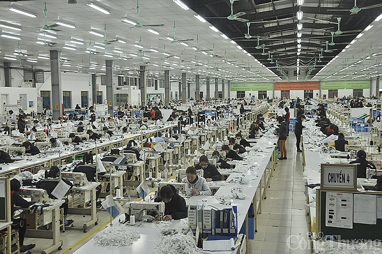 undefined 4407 day chuyyn may xuat khyu cya cong ty tnhh havina kim lien nam yan 1