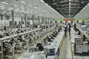 EVFTA: Doanh nghiệp địa phương với sân chơi lớn