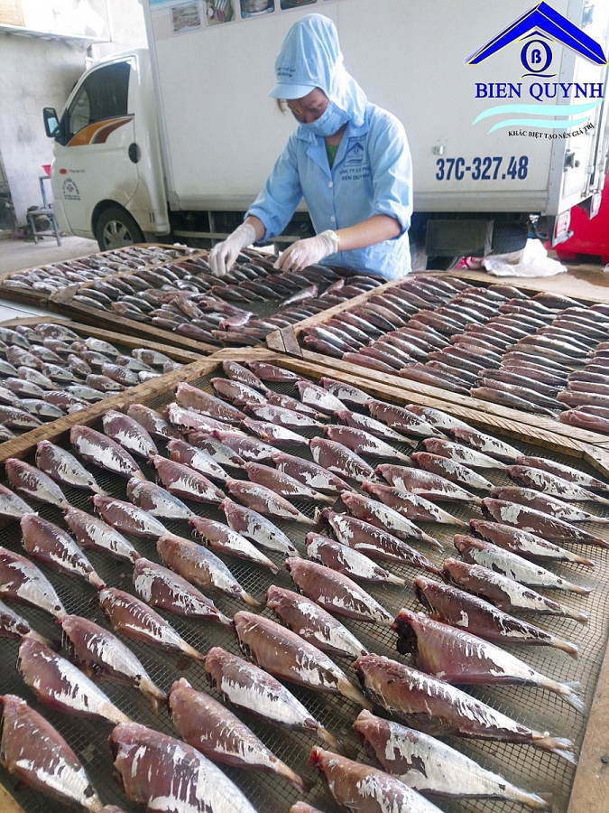 undefined 1128-ts-biyn-quynh-ql