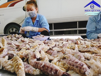 Nghệ An: Thuỷ sản khó tìm về thị trường nội địa