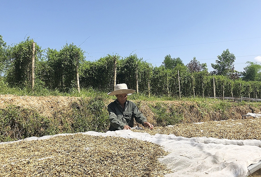 Nghệ An: Gói 26.000 tỷ đồng ‘tiếp sức’ cho doanh nghiệp, lao động khó khăn Nghệ An: Gói 26.000 tỷ đồng ‘tiếp sức’ cho doanh nghiệp, lao động khó khăn